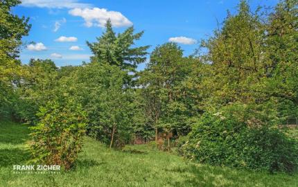 FRANK ZICHER - Predávame rozsiahly pozemok s rekreačnou chatou a garážou v pokojnej lokalite Marianka