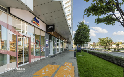 Prenajímame priestranný 2 izbový byt s výhľadom na Bratislavský hrad, PANORAMA CITY