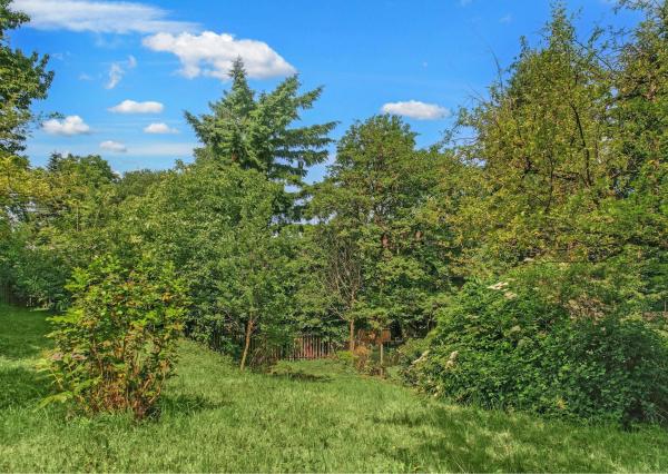 FRANK ZICHER - Predávame rozsiahly pozemok s rekreačnou chatou a garážou v pokojnej lokalite Marianka