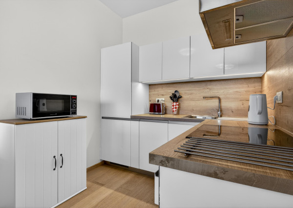 Prenajímame priestranný 2 izbový byt s výhľadom na Bratislavský hrad, PANORAMA CITY
